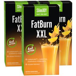 FatBurn XXL | 1+2 ZDARMA | Termogenní spalovač tuků 3 v 1: 1 000 mg L-karnitinu, 1 000 mg yerba mate a 700 mg guarany | 30denní program | SlimJOY