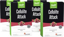 Cellulite Attack | 1+2 ZDARMA | Trojitý účinek pro přírodní odstranění celulitidy s extraktem z hroznů | 3x 30 kapslí na 3 měsíce | SlimJOY