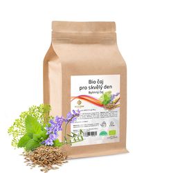 BIO* čaj bylinný pro skvělý den 60 sáčků x 1,5 g
