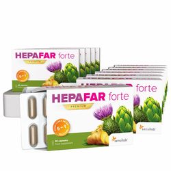 6měsíční HEPAFAR forte kúra | Pro kompletní detoxkaci jater a vyloučení toxinů | 12x 30 kapslí | Program na 6 měsíců |Sensilab
