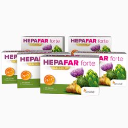 3měsíční HEPAFAR forte kúra | Pro kompletní detoxkaci jater a vyloučení toxinů | 6x 30 kapslí | Program na 3 měsíce |Sensilab