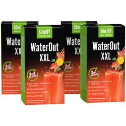 4x WaterOut XXL | Silnější receptura | Efektivní hubnutí a odvodnění organismu | Nyní 4 účinky v 1 | Program na 40 dní | SlimJOY